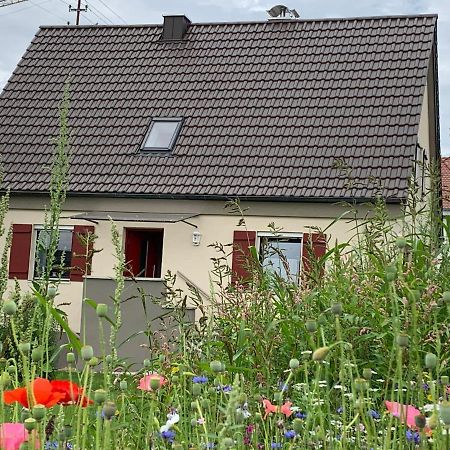 Ferienhaus Bei Lauingen, Mit Sauna Und Gartenlounge Veitriedhausen Екстериор снимка