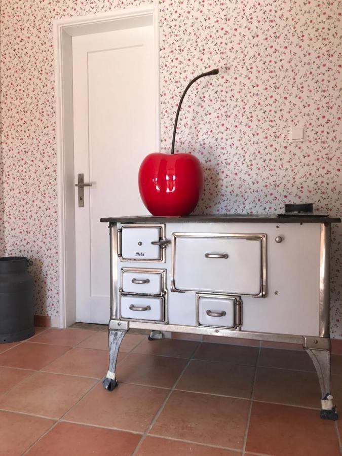 Ferienhaus Bei Lauingen, Mit Sauna Und Gartenlounge Veitriedhausen Екстериор снимка