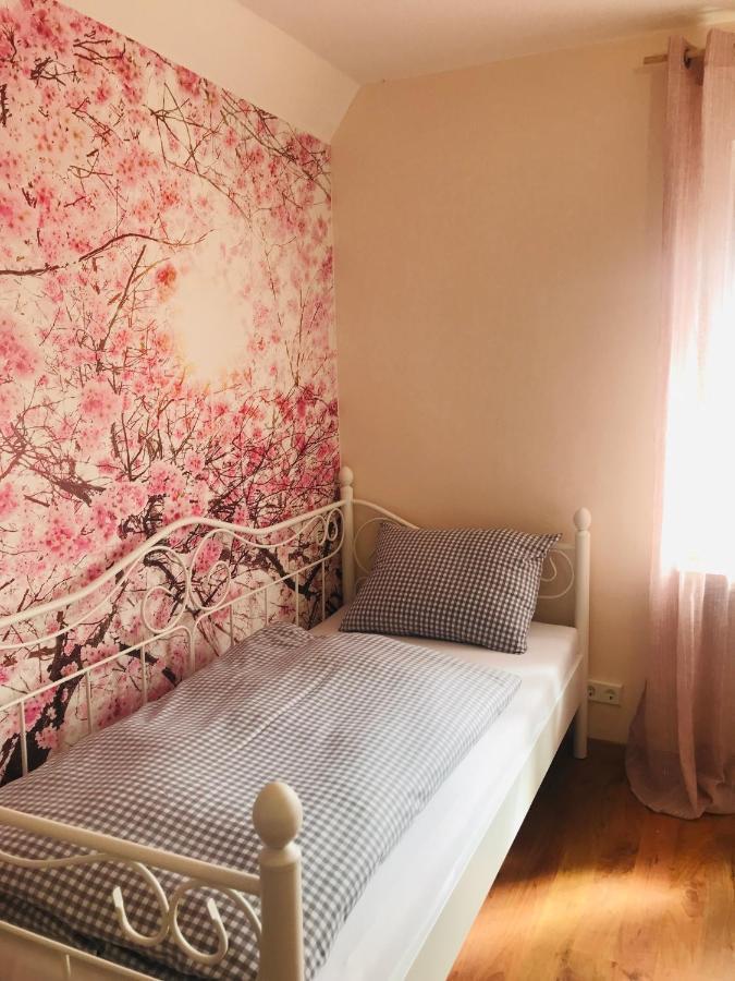 Ferienhaus Bei Lauingen, Mit Sauna Und Gartenlounge Veitriedhausen Екстериор снимка