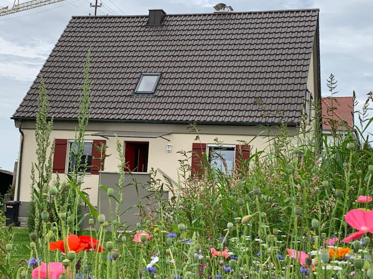 Ferienhaus Bei Lauingen, Mit Sauna Und Gartenlounge Veitriedhausen Екстериор снимка